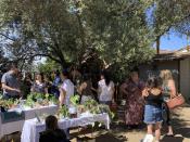 In this undated photo, provided by Ana Carlson, people mingle at a Los Angeles plant swap. Houseplants have become a popular hobby and a swap is one way for enthusiasts to obtain rare or expensive plants. (Ana Carlson/Sill Appeal via AP)