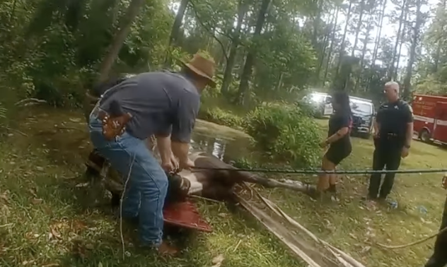 Drowning horse rescue captured in dramatic video