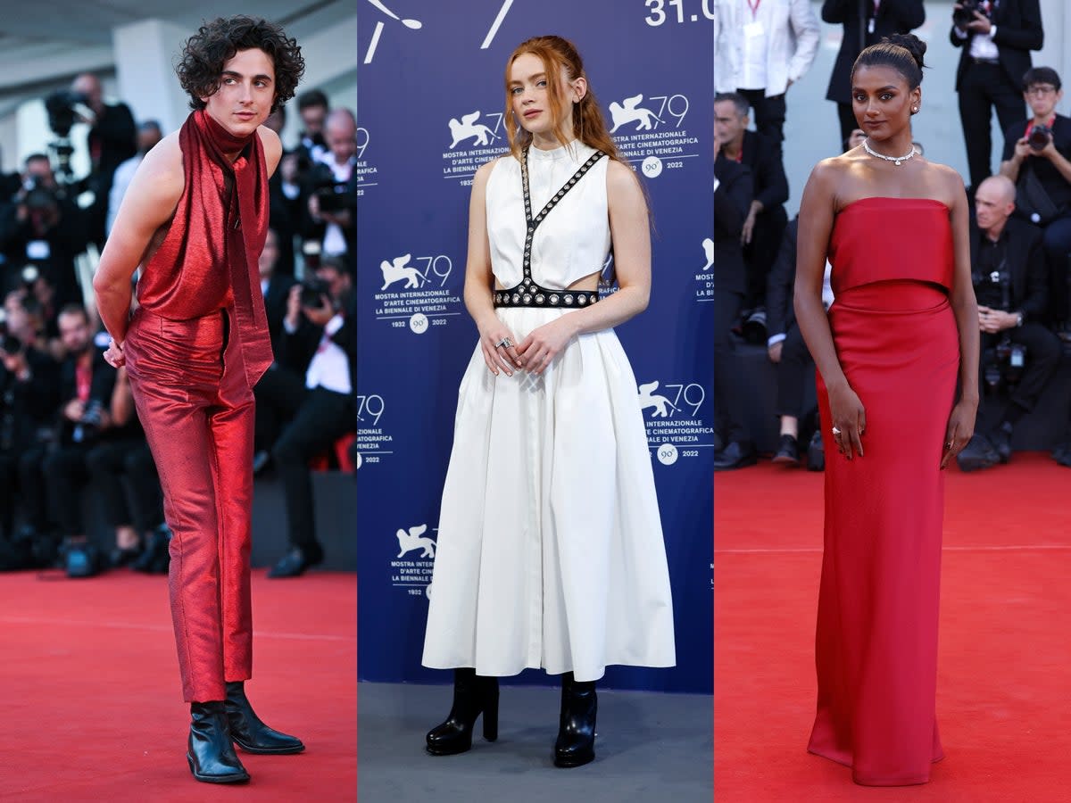 (left to right) Timothee Chalamet, Sadie Sink and Simone Ashley attend the 2022 Venice Film Festival (Getty)