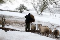 A farmer takes feed to his sheep in Sutton, Cheshire. Heavy snow has meant some farmers are finding it difficult to reach and feed their animals. Farmers in Northern Ireland fear many of their animals have died (PA)