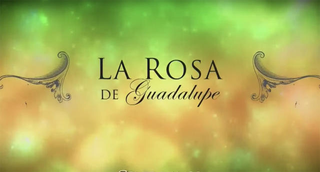 El fenómeno de 'La Rosa de Guadalupe': la odian y se burlan, pero es lo más  visto de Televisa