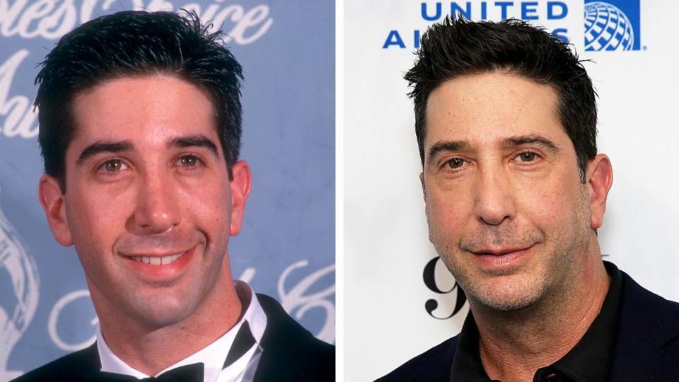 David Schwimmer