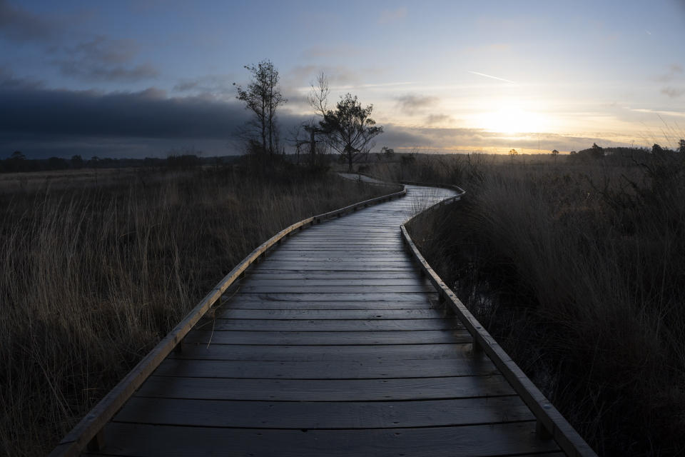 A board walk in an English common at sunrise