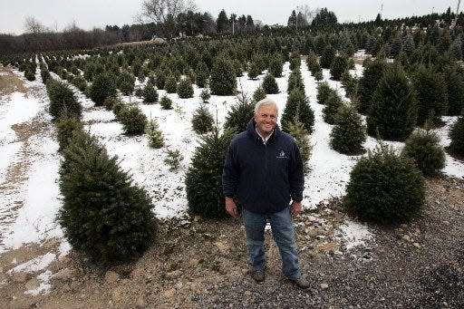 Dave Henry stands among the trees at his farm in 2008.