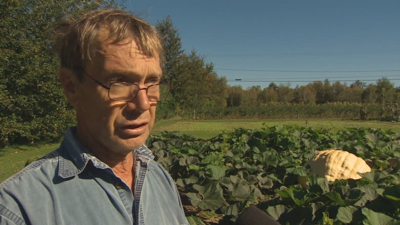 Fredericton couple rack up 3 pumpkin honours