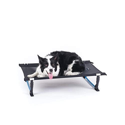 Elevated, Portable Dog Bed