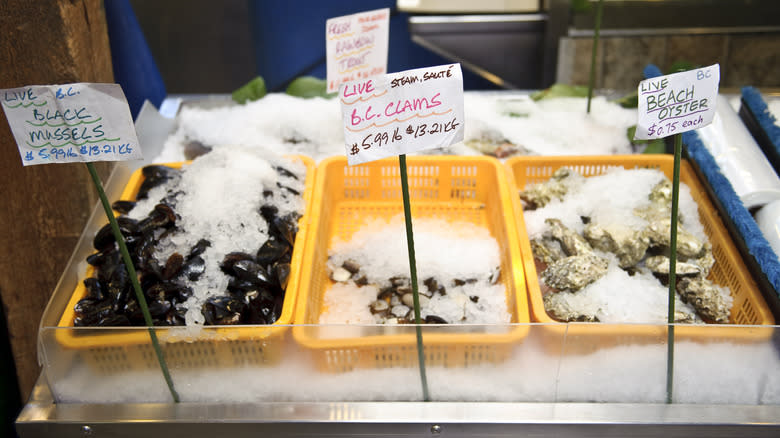 live clam shells being sold