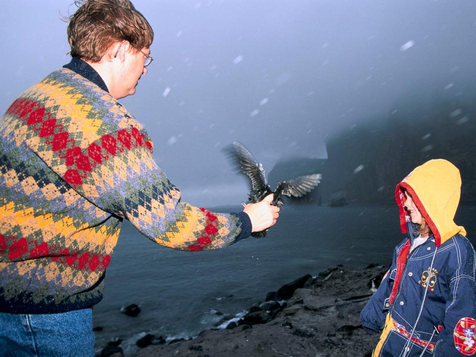 Locals throw a puffin off a cliff in Iceland.