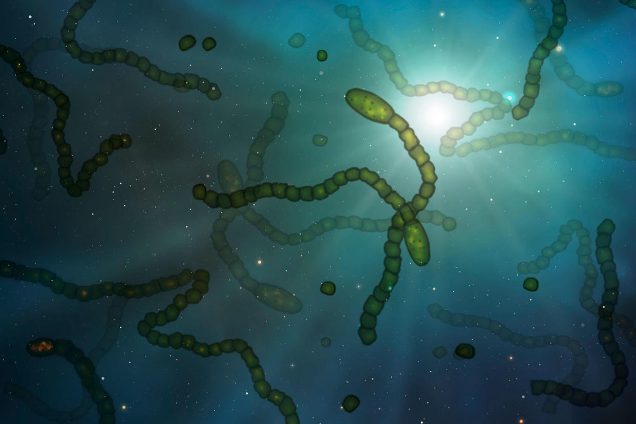 Microbes in space, illustration Getty Images/MARK GARLICK/SCIENCE PHOTO LIBRARY