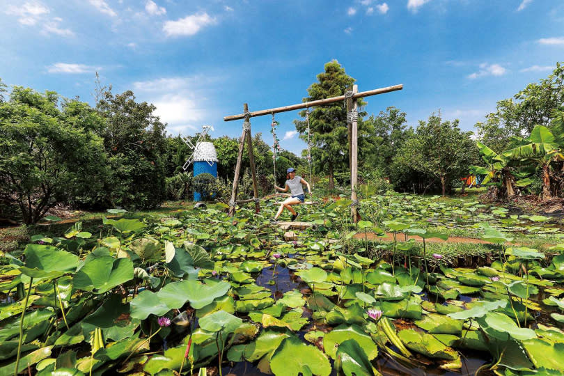 「蓮荷園休閒農場」在蓮池中設置鞦韆，是網美必拍的景點。（圖／焦正德攝）