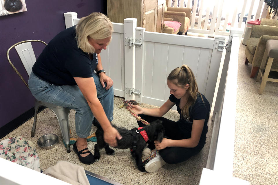 Imogen Jones, right, plays with a dog at the Shelter Hope Pet Shop in Thousand Oaks, Calif. (Shelter Hope Pet Shop)