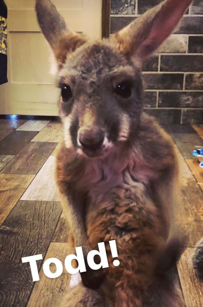 Luke Bryan Gifts Wife Baby Kangaroos for Christmas