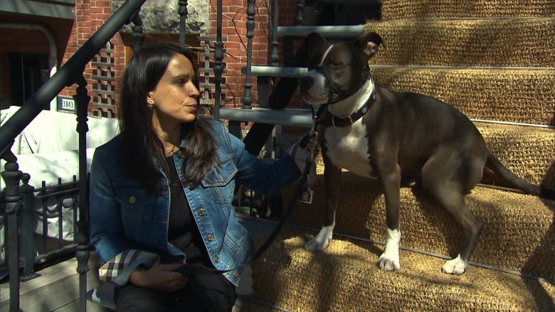 Dog owners, animal welfare groups blast Quebec's move to eventually ban pit bulls