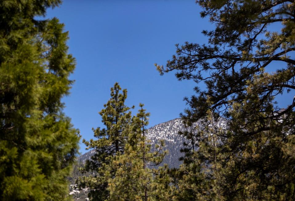 Snow is seen atop a peak from in Idyllwild, Calif., Thursday, May 11, 2023. 