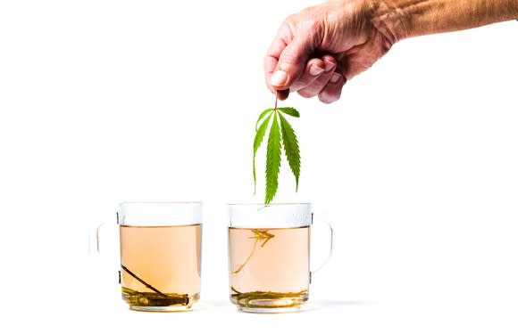 Hand holding a marijuana leaf over one of two cups of tea in glass mugs.