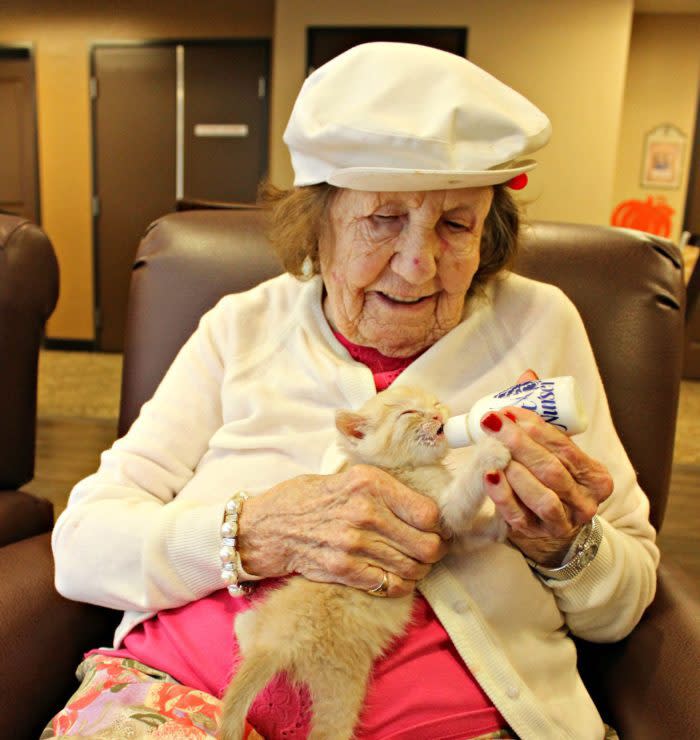 An animal shelter and an assisted living facility are saving kittens and it’s the positivity we need