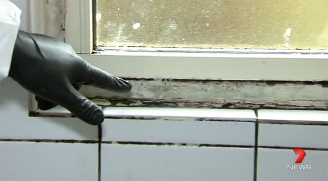 The combination of rain followed by warm weather creates the perfect breeding ground for mould. Photo: 7 News