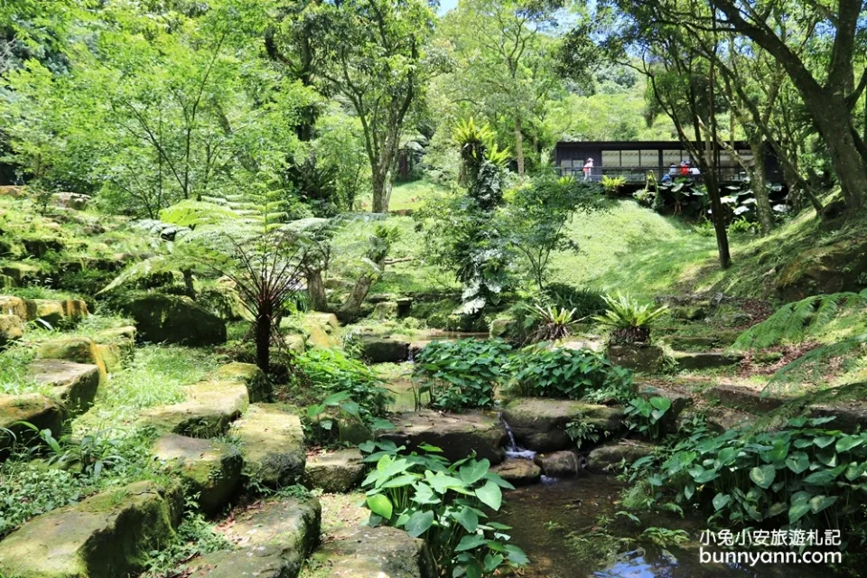 三峽熊空茶園