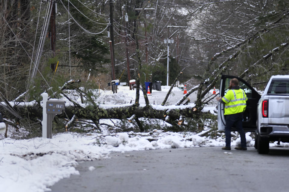 A utility worker examines a large tree that fell on electric lines and landed blocking a road, Friday, April 5, 2024, in Derry, N.H. Many New Englanders are cleaning up following a major spring storm on Thursday that brought heavy snow, rain and high winds to the Northeast. Hundreds of thousands of homes and businesses are still without power in Maine and New Hampshire. (AP Photo/Charles Krupa)