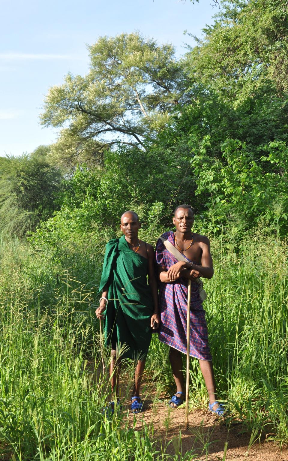 Lion defenders  - Credit: Jessamy Calkin 