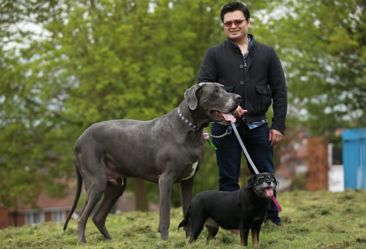 Balthazar, Fifi and owner Vinnie (Picture: SWNS)