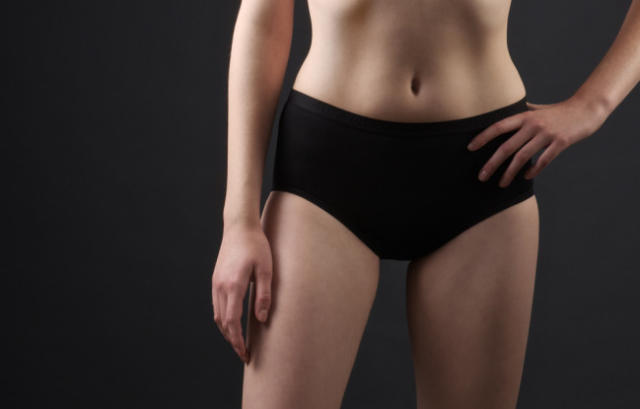 Women's High Waist Briefs — Shreddies