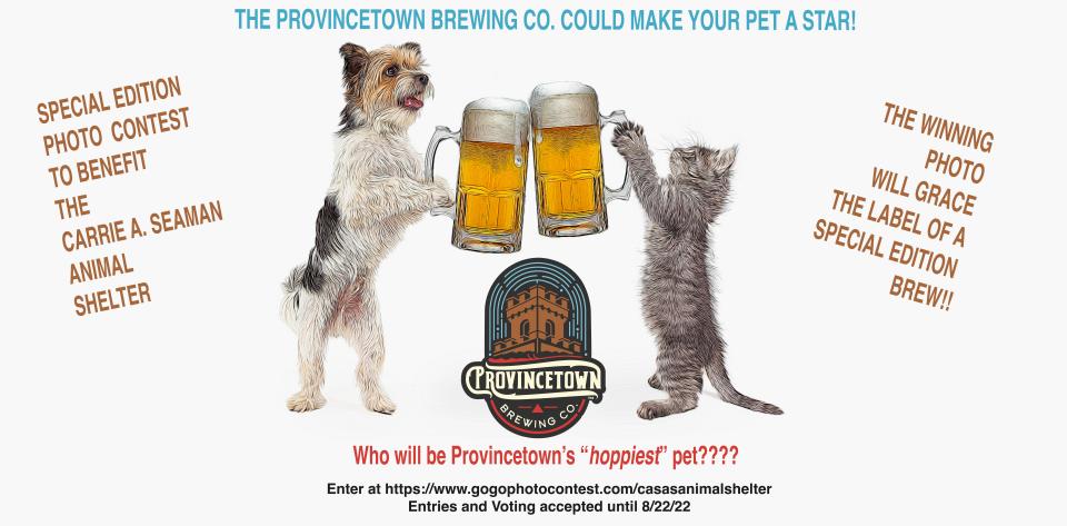 The contest poster for the 2022 Special Edition Provincetown Brewing Co. Pet Label Contest features a jubilant and likely unusual toast between a dog and a cat.