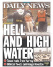 <p>Daily News<br> Published in New York, N.Y. USA. (newseum.org) </p>