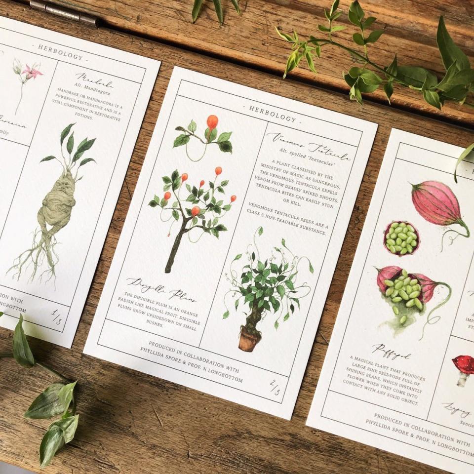 'Harry Potter' Herbology Chart Print Set