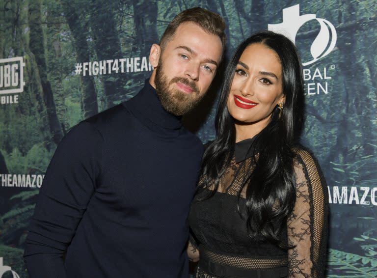 Artem Chigvintsev (L) and Nikki Bella