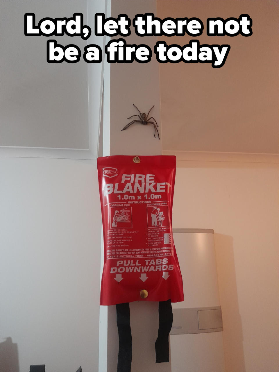 A spider hovering over a fire blanket