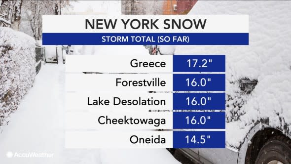 New York snowfall totals 12019