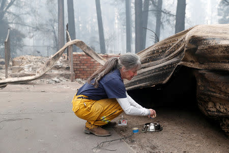 Una voluntaria del Grupo de Desastres de Animales del Norte del Condado distribuye comida y agua para un gato callejero en un área destruida por el Camp Fire en Paradise, California, EEUU. 13 de noviembre de 2018. REUTERS/Terray Sylvester