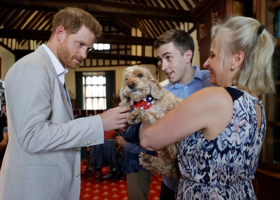 The Duke of Sussex meets Bella the Cockapoo with Annegret Finlay and Karsten Finlay as he attends Dr Jane Goodall's Roots & Shoots Global Leadership Meeting