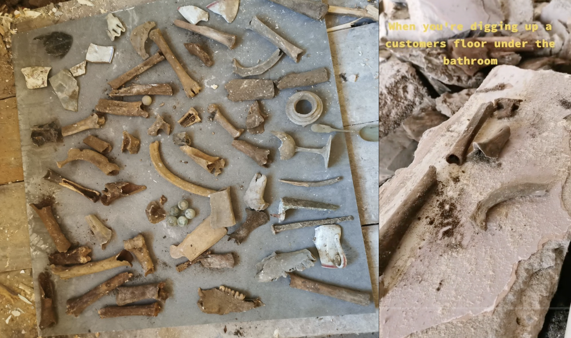 Jonathan Betts found a collection of bones underneath a property in Plymouth, Devon. (Jonathan Betts)