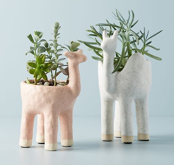 STYLECASTER | Cute Planters