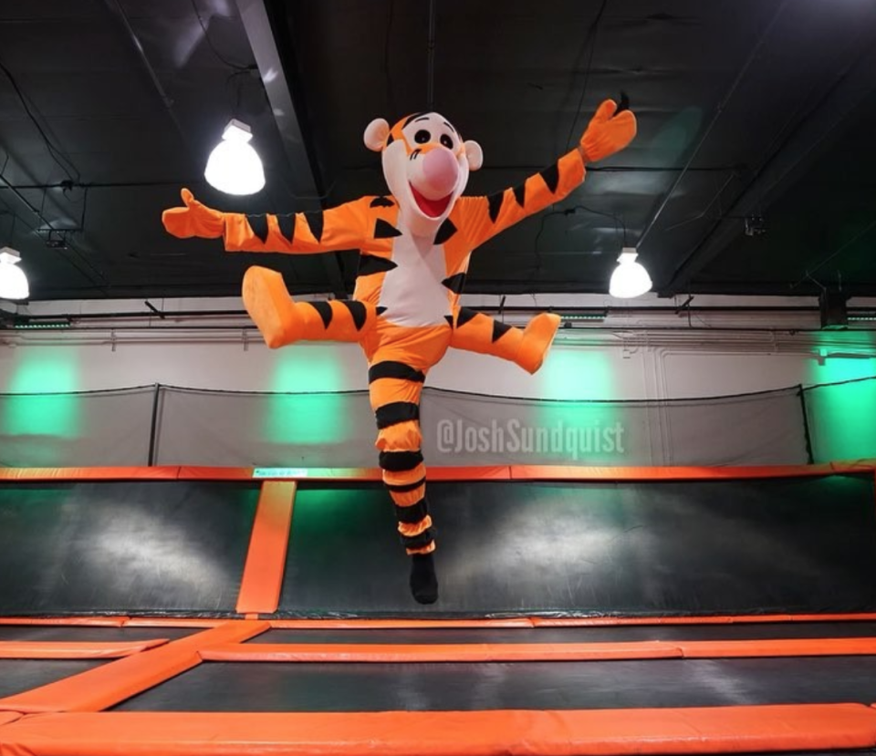 2017: Tigger