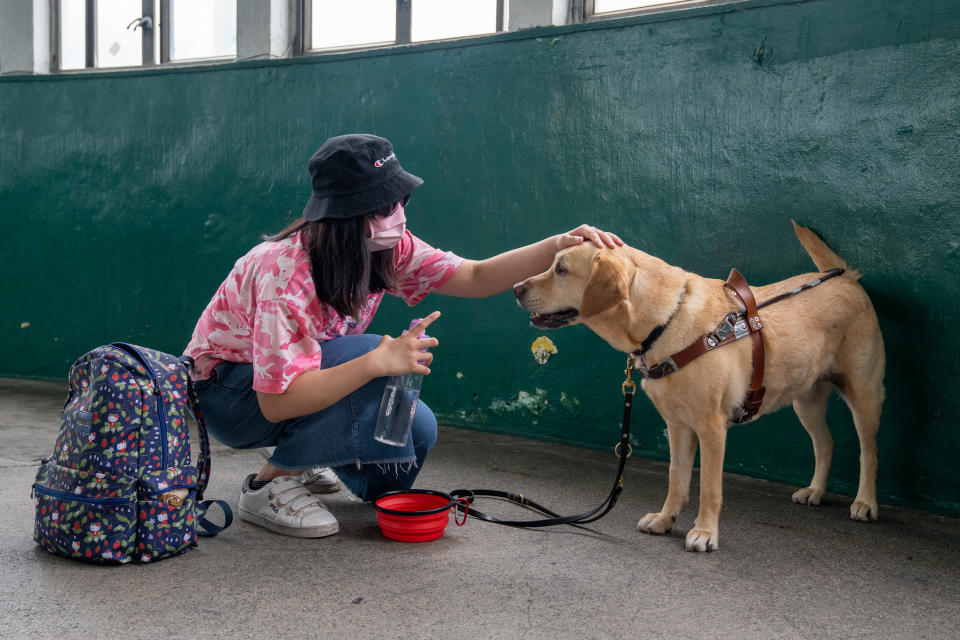 為免導盲犬Delta因酷熱而中暑，阿Wing在等待小輪期間，亦為Delta準備清水消暑。
