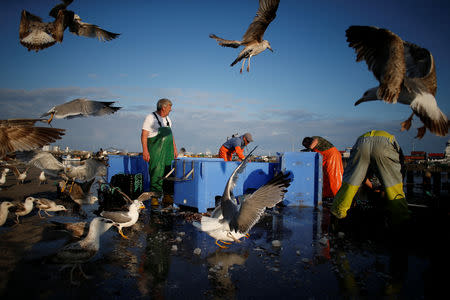 Fishermen are seen at work in the port of Matosinhos, Portugal, May 28, 2018. Picture taken May 28, 2018. REUTERS/Pedro Nunes