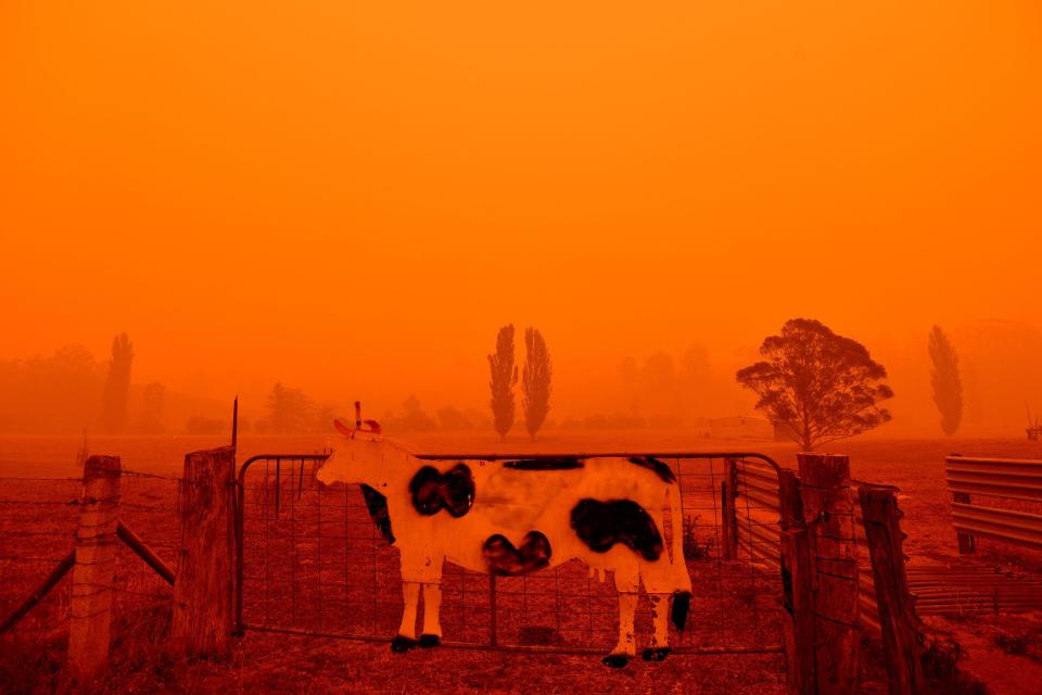 australia fires