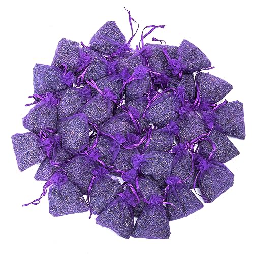 French Lavender Sachets for Drawers and Closets Fresh Scents, Set of 36, Home Fragrance Sachet for Closets and Drawers, Purple, LV-S-C-36-1