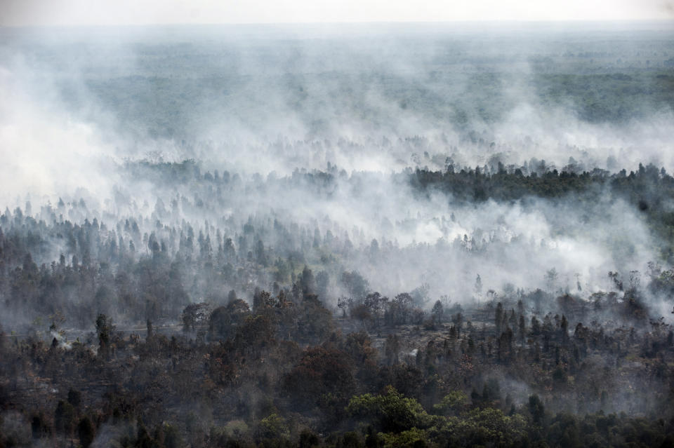 Smoke billows from forest fires in Kahayan Hilir, Central Kalimantan, Indonesia, Wednesday, Sept.18, 2019. Forest fires have razed hundreds of thousands of hectares of land in Sumatra and Borneo island, spreading a thick, noxious haze around Southeast Asia. (AP Photo/Fauzy Chaniago)