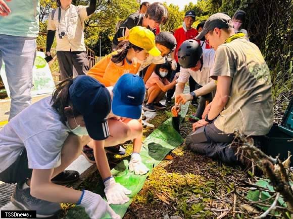 今年五月荒野保護協會與竹圍國小友善陸蟹生態廊道守護行動。（圖：新北市政府高灘地工程管理處提供）