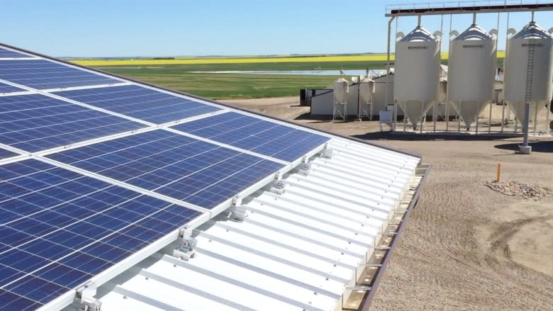 Net-zero egg barn with solar energy opens in Alberta