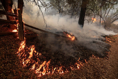 Underbrush burns on the south edge of the Carr Fire near Igo, California, U.S. July 29, 2018. REUTERS/Bob Strong