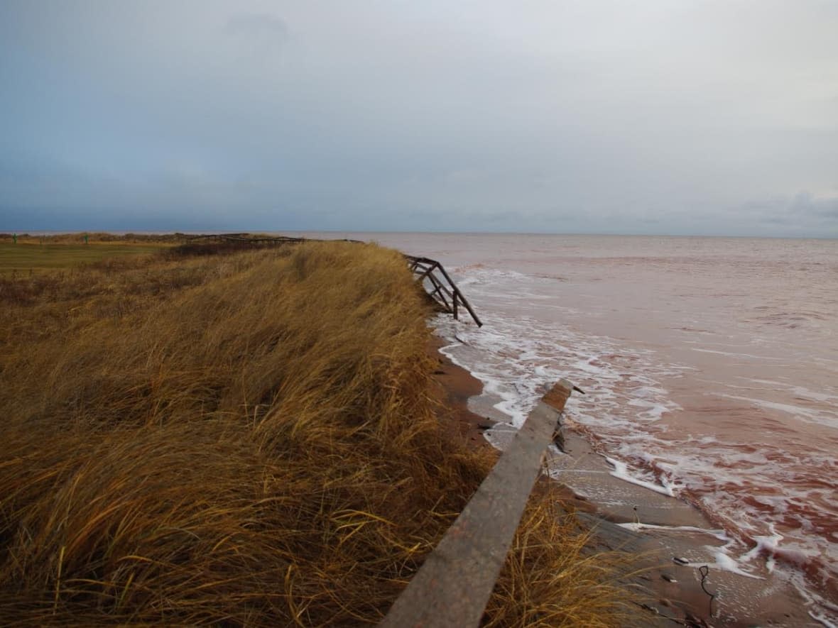 Cedar Dunes Provincial Park and nearby infrastructure will suffer the effects of coastal erosion in the next 10 years if immediate action isn't taken, says Brian Thompson, a director in the Department of Transportation and Infrastructure. (Submitted by Carol Livingstone - image credit)