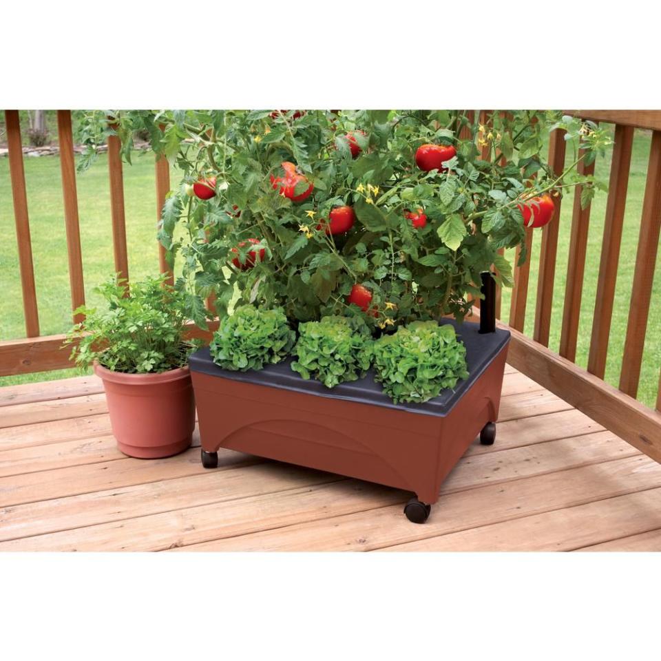 Raised Grow Bed on Casters