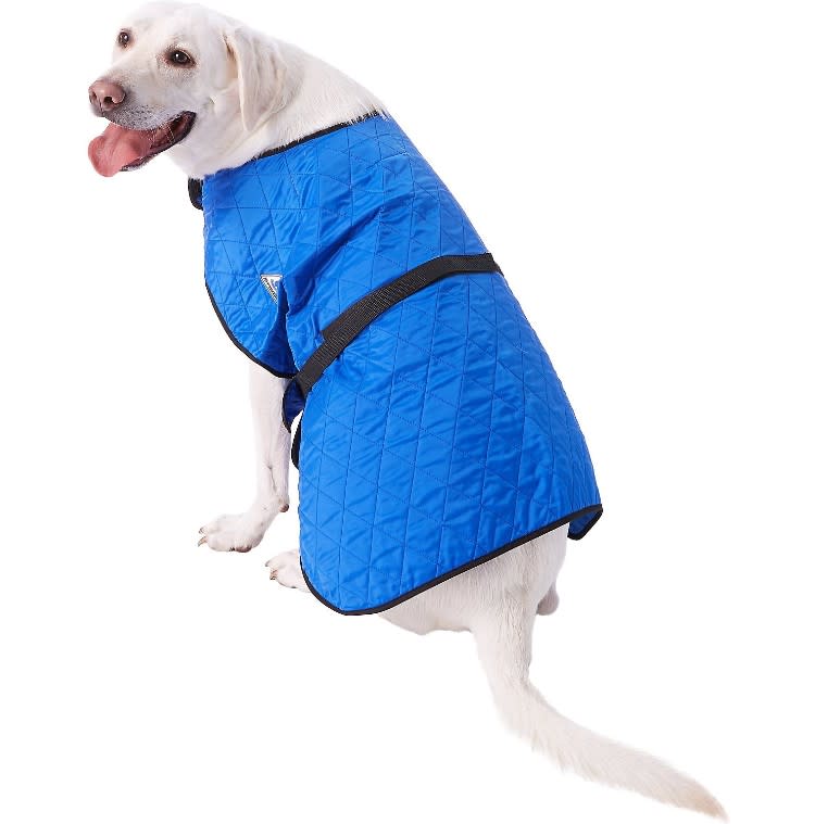 TechNiche International Evaporative Cooling Dog Coat. (Photo: Chewy)