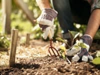 The exercise it takes to plant a garden is good for the body and mind.