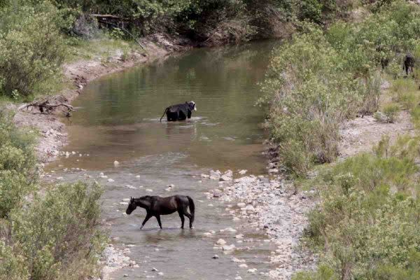 contaminacion rio sonora derrame